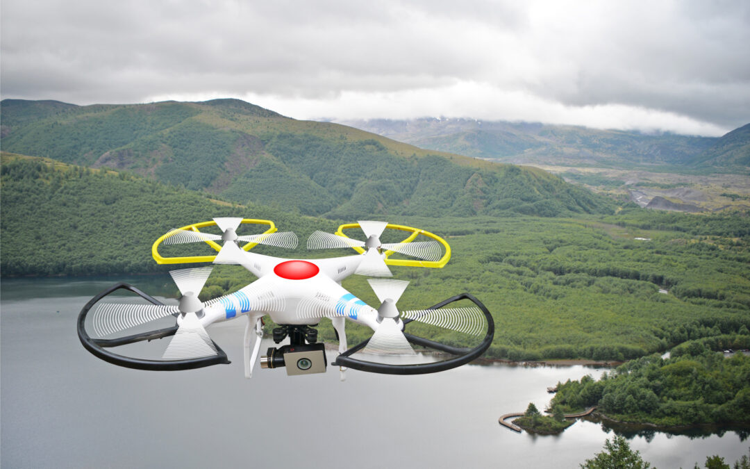 Drone con la vida silvestre